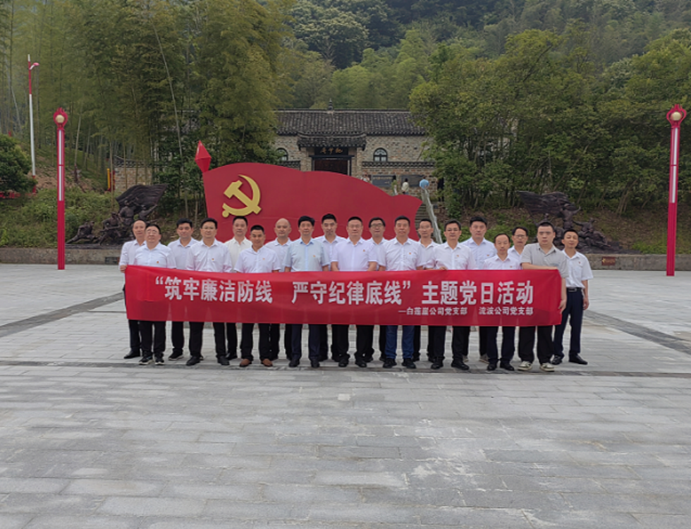白蓮崖電站、流波電站_副本.png